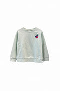 Green carters Sweatshirt, 5t