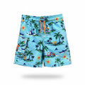 Multi-Color Hatley Swim, 3y