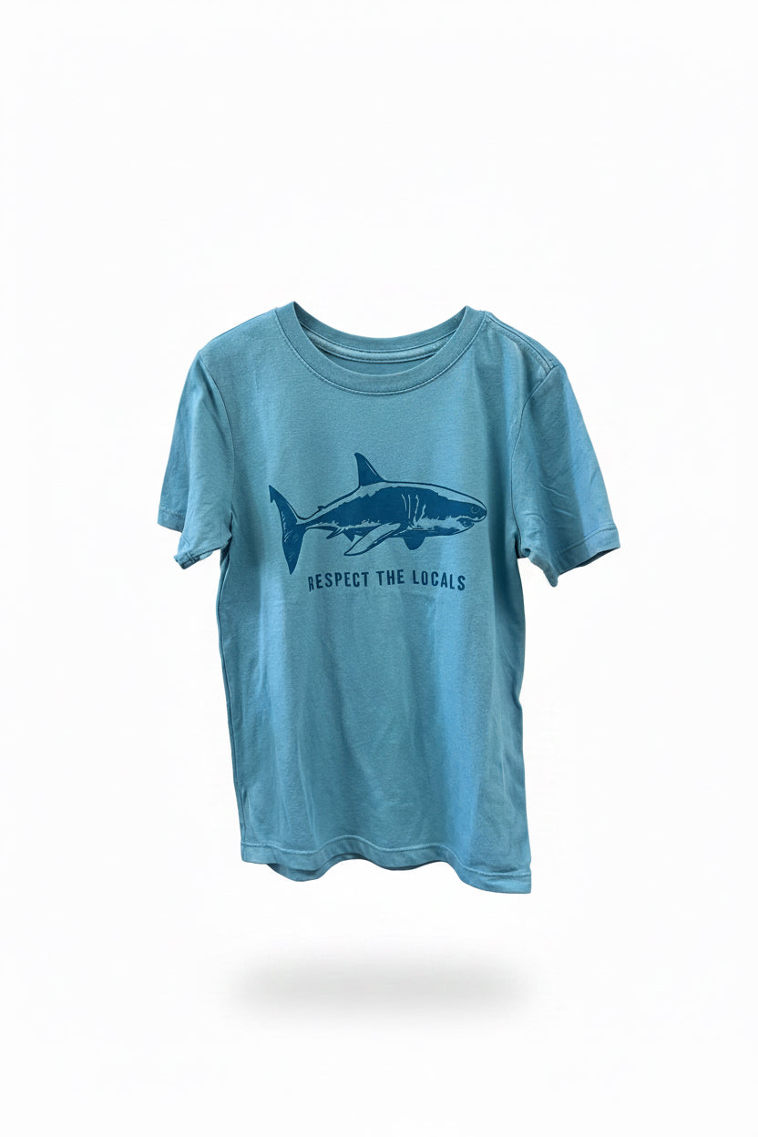 Blue Wonder Nation T-Shirt, 6-7y
