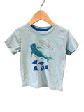 Green Tea Collection T-Shirt, 3t