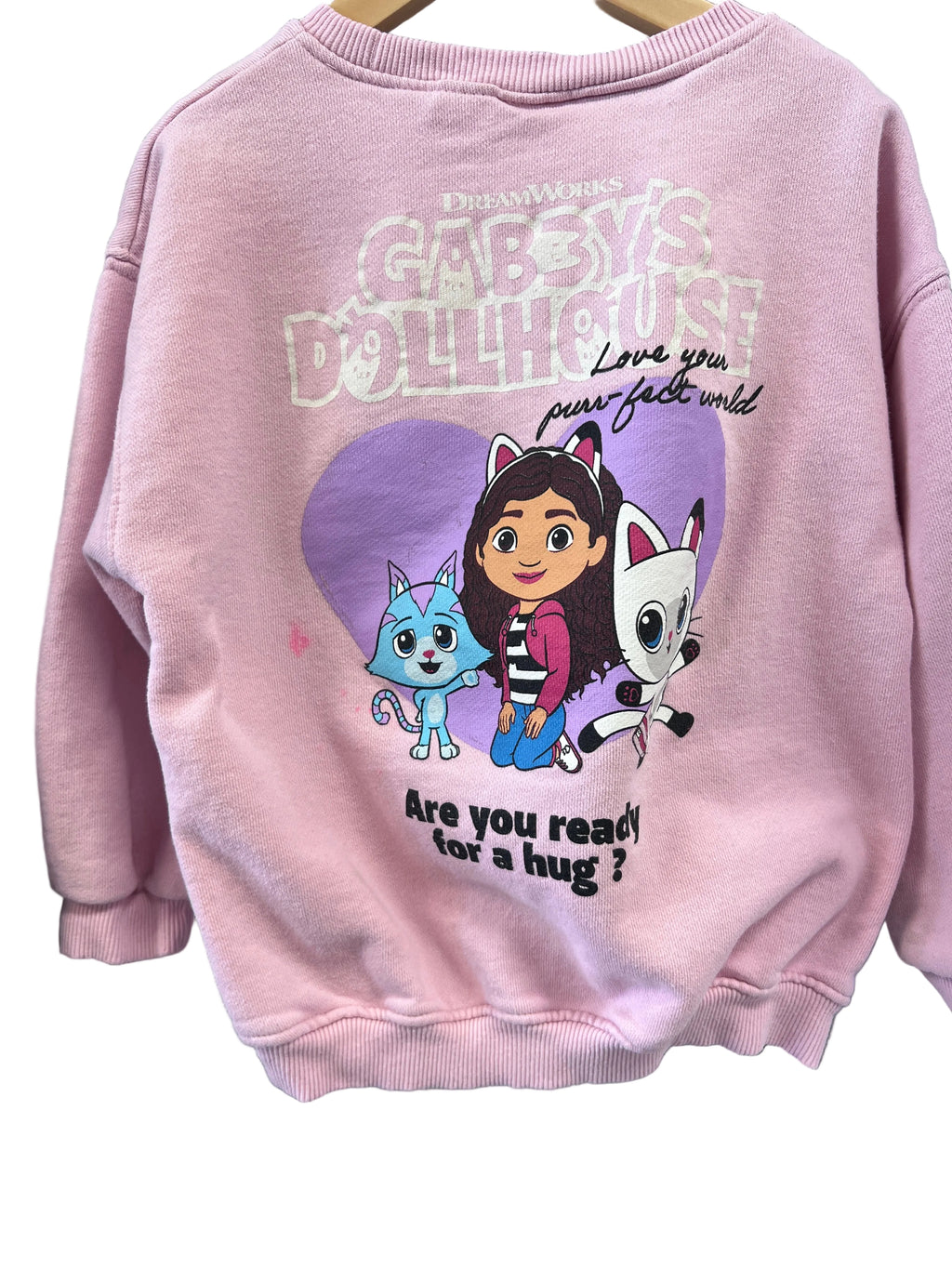 Pink Zara Sweatshirt, 6y